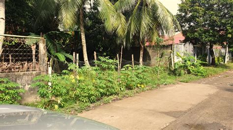 rosario heights bacolod|Lot for sale Rosario Heights Subd. Taculing Bacolod .